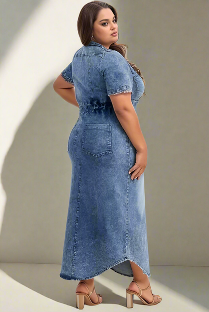 Plus Size Denim Dress