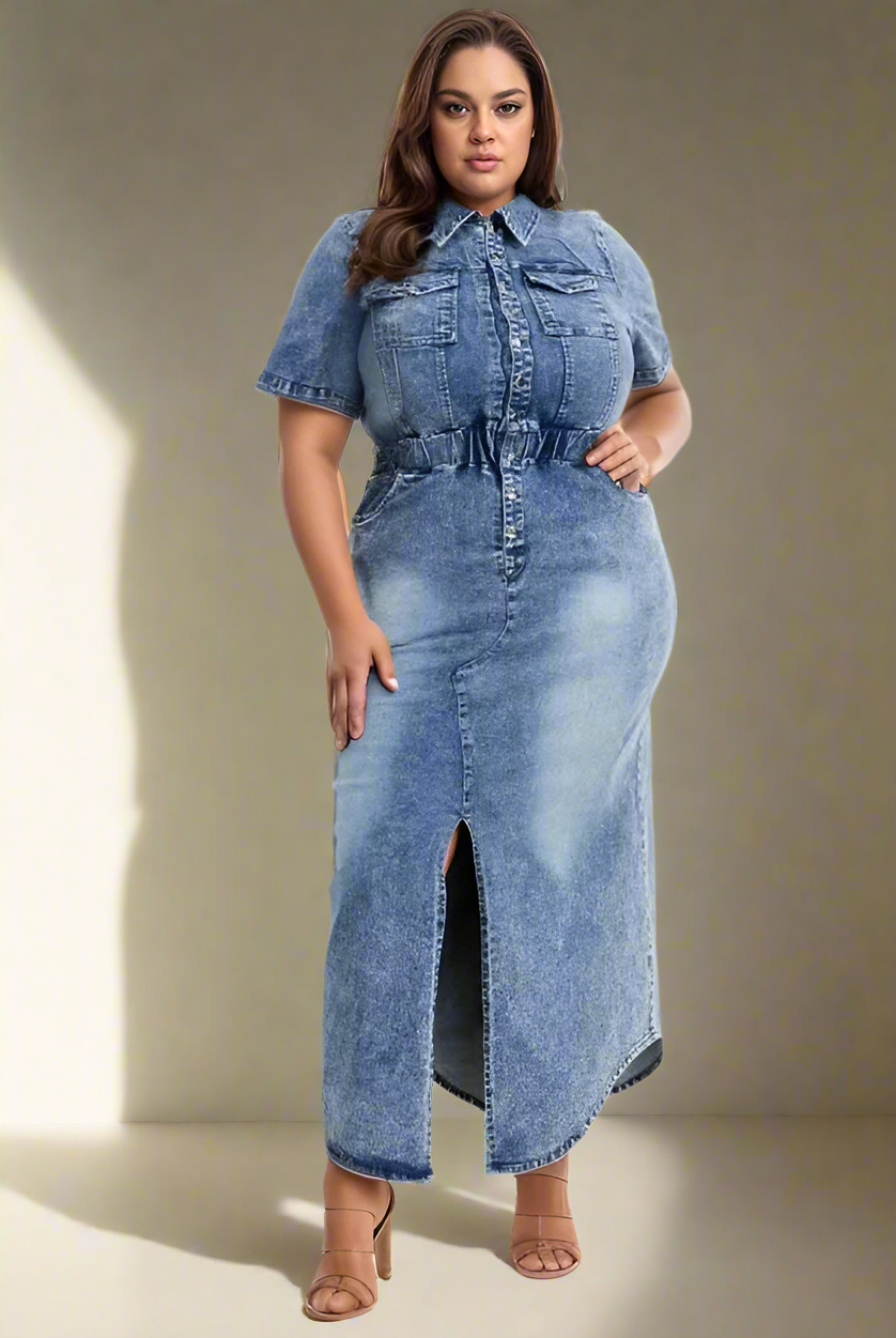 Plus Size Denim Dress